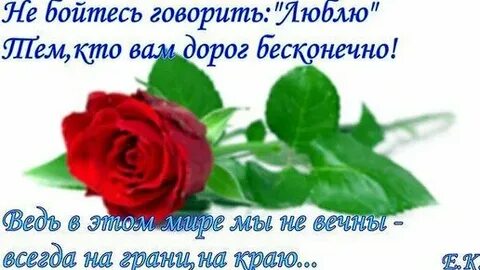 Не бойтесь она добрая