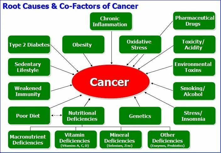 Main factors. Causes of Cancer. What causes Cancer. Risk Factors of Cancer. Causes Factors разница.