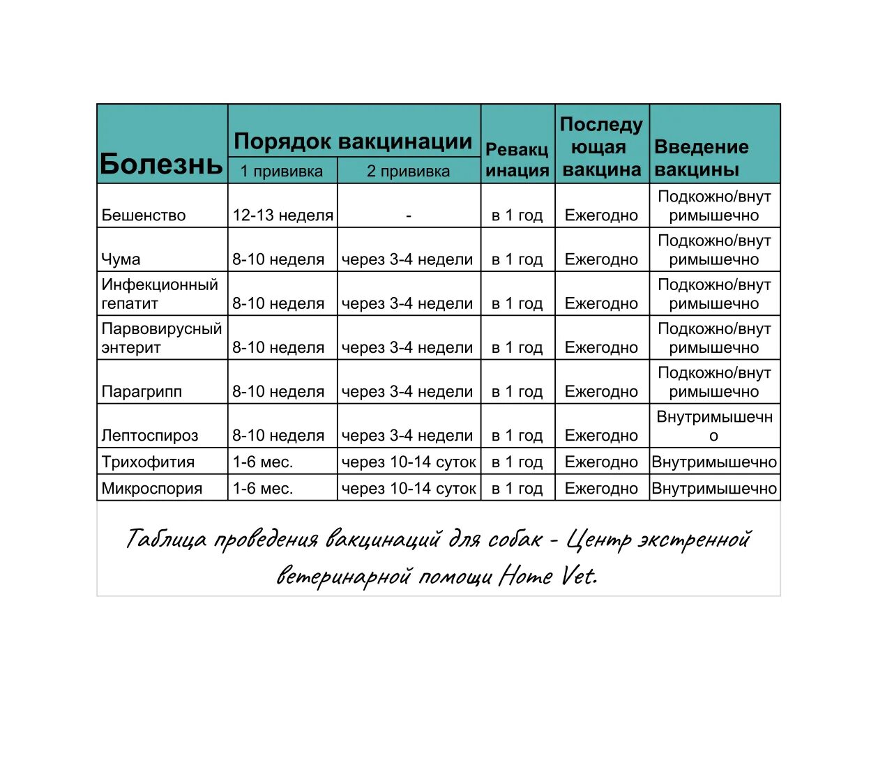 Прививки для щенков график