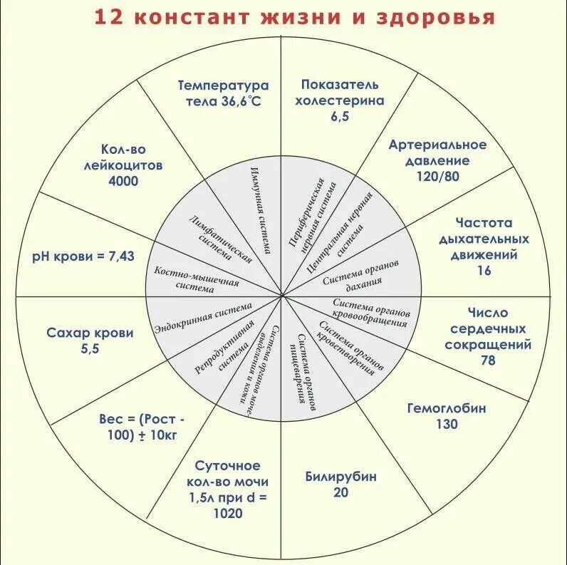 Сколько систем. 12 констант здоровья бутакова. 12 систем организма человека и их функции таблица. 12 констант здоровья с числовыми показателями. показатели здоровья человека таблица.
