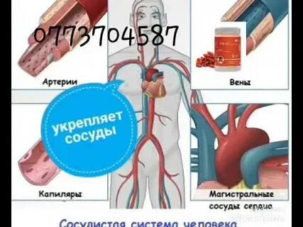 Сосуд без давления