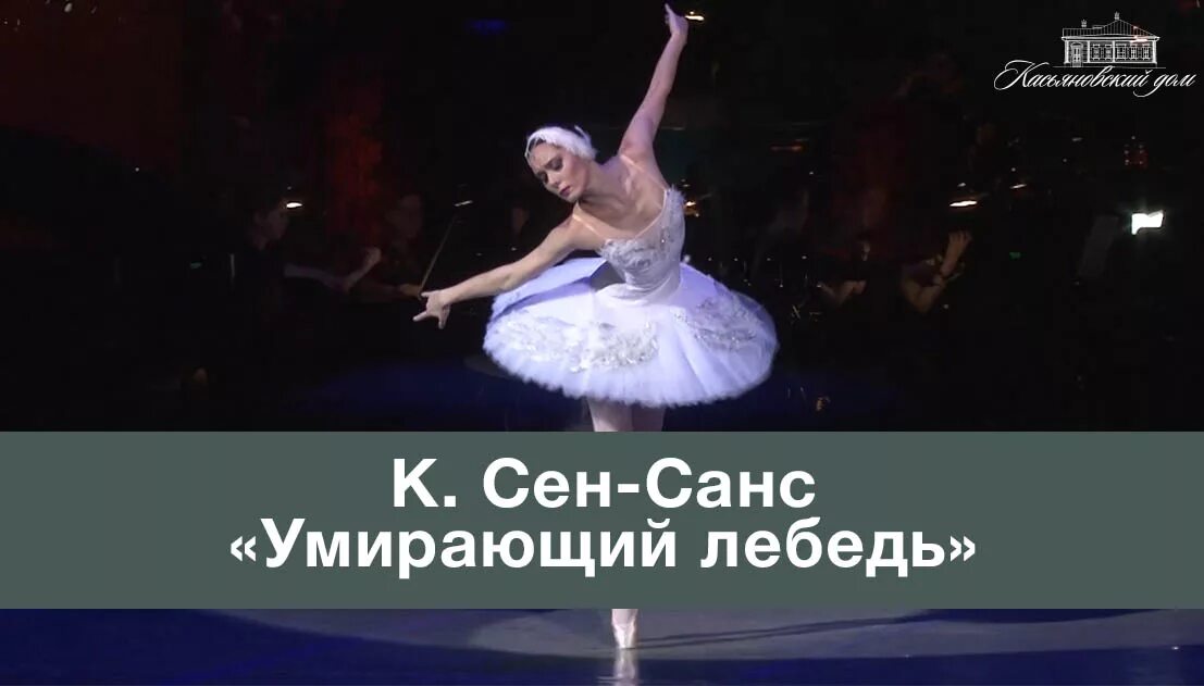 Сен санс балет. Сен санс лебедь. Сен санс балет. Сен санс балет. Сен санс балет.