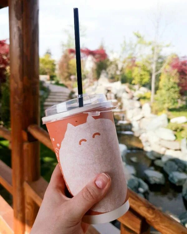 Kissaten краснодар кофейня. Киссатэ́н. Кисатен кофейня киссатэн краснодар. Kissaten краснодар. Кафе в ускюдар с книгами куда можно с детьми.