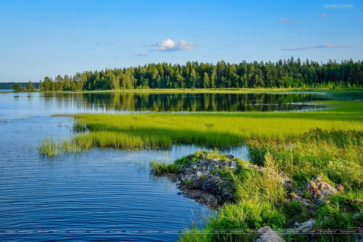 Новгородская область сообщества