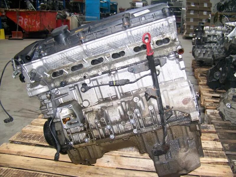 52 a b 2. BMW m52 двигатель. Номер двигателя БМВ м52. Номер двигателя м52б25. Номер двигателя BMW m52.