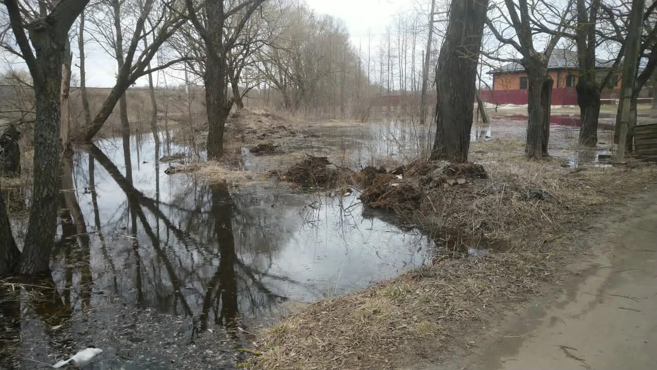 Уровень воды в реке болва брянск