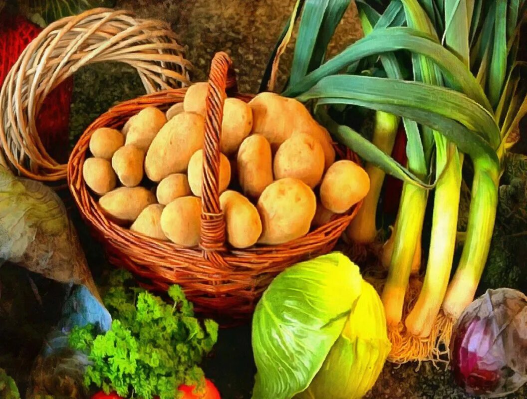 Картошка овощ или фрукт. Овощи картофель. Продукты растениеводства. Картошка с овощами. Урожай картошки овощи и фрукты.