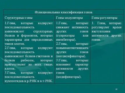 Структурные гены это в биологии