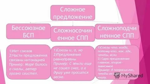 Предложения ссп спп бсп 9 класс