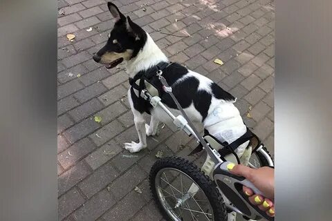 Трогающие 3