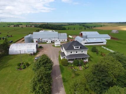 Farms sale