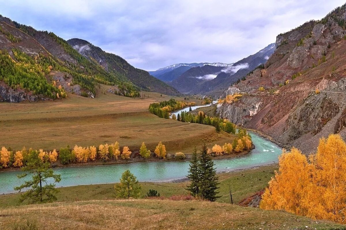 Алтайский край регион самый. Алтайский край. Барнаул Алтайский край природа. Алтай Барнаул природа. Алтайский край ворота Алтая.