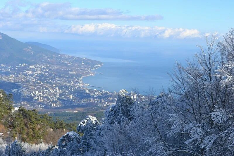 В крыму зимой тепло. Южный берег крыма зима. южный берег крыма февраль. южный берег крыма зимой. юбк крым зимой.