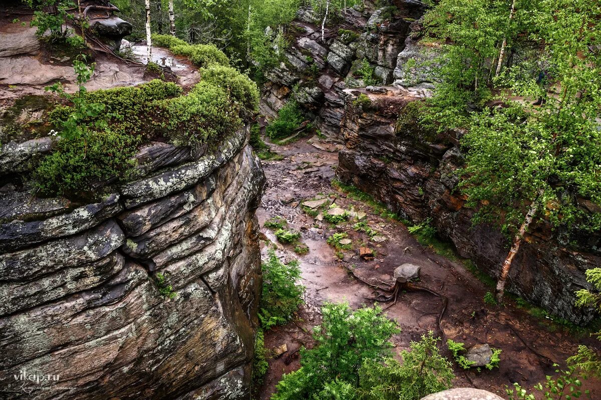 Каменный город пермский край. Каменный город и шумихинские скалы экскурсия. Каменный город пермский край черепаха. Каменный город в цифрах. Каменный город в цифрах.