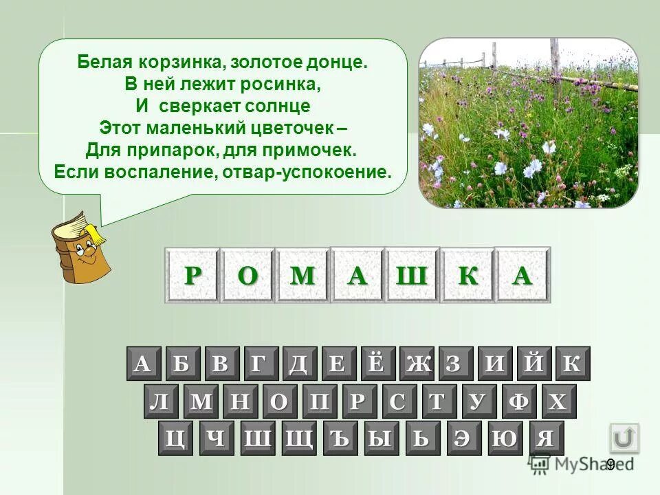 Загадка золотое донце. Белая корзина золотое Донце в ней лежит Росинка и сверкает солнце. Загадку белая корзинка золотое Донце в ней лежит Росинка. Загадка белая корзинка золотое Донце. Поле чудес на тему «лекарственные растения».