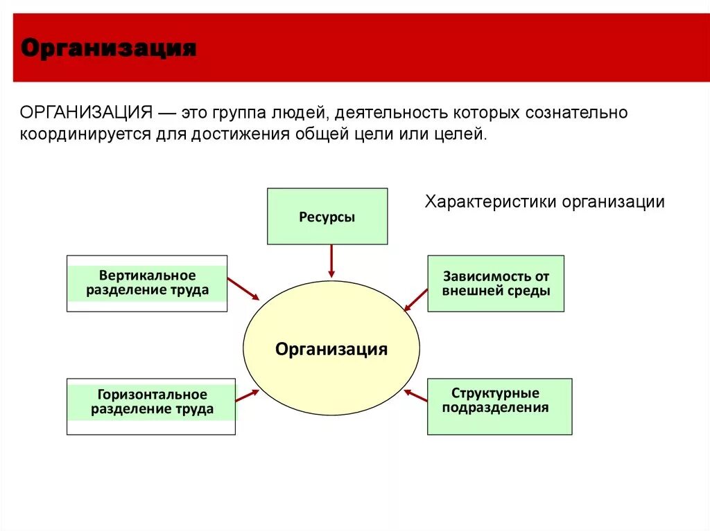 Союз для достижения общей цели. Организация – это группа людей, деятельность которых сознательно. Постоянная или родительская организация. Организационная структура проекта и его внешнее окружение. Деятельность организации координируется горизонтально с помощью.