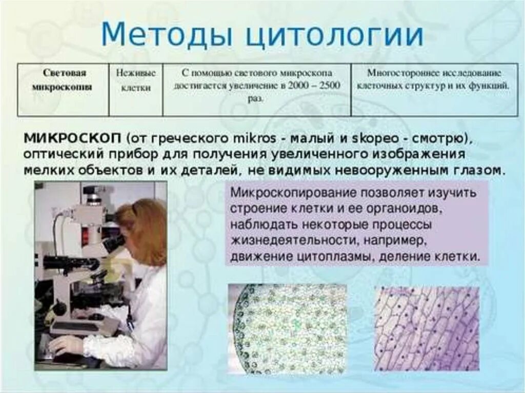 Методы изучения клетки таблица 10 класс. Световая микроскопия метод цитологии. Методы изучения клеток биология 10 класс. Методы цитологических исследований таблица. Какие методы исследования представлены на рисунках