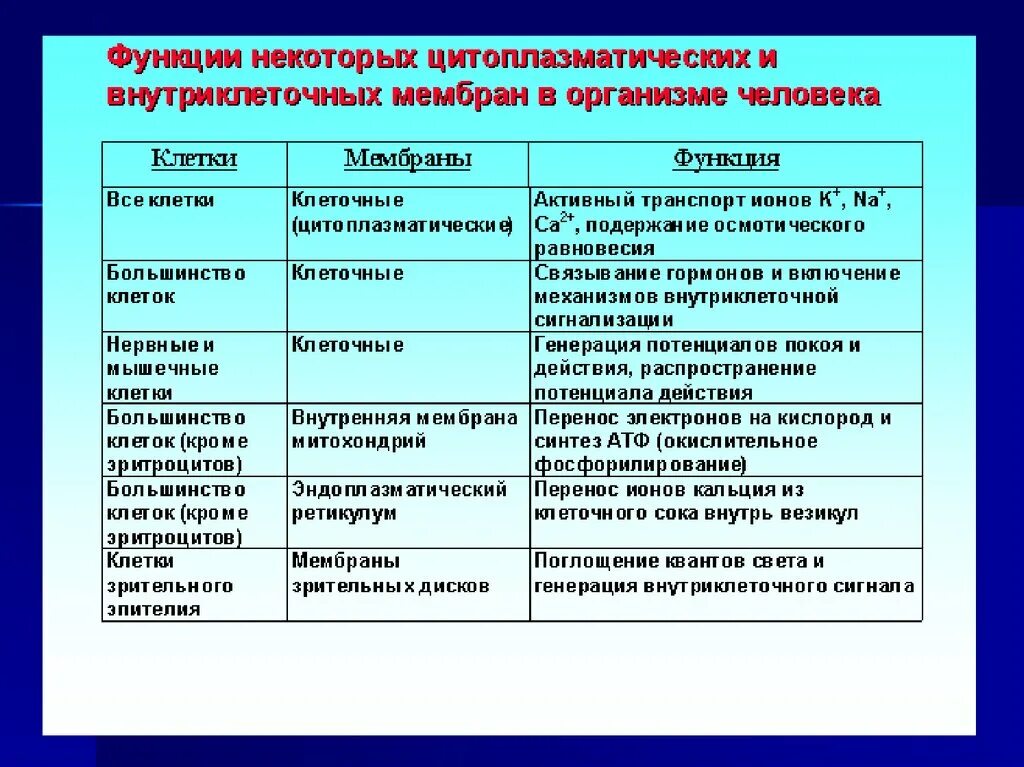 Строение клетки свойства функции. Типы клеточных мембран. Строение клеточной мембраны Талица. Клеточная мембрана функции таблица. Строение клеточной мембраны таблица.