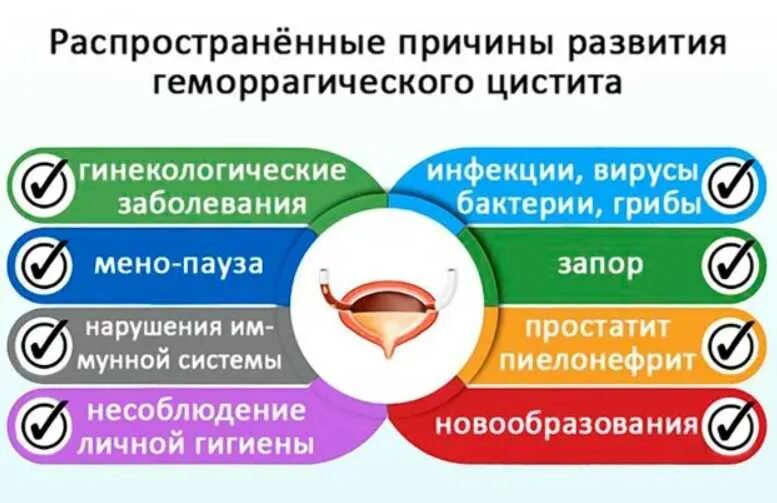 Геморрагический цистит. Острый геморрагический цистит. Лекарства при геморрагическом цистите. Цистит причины.