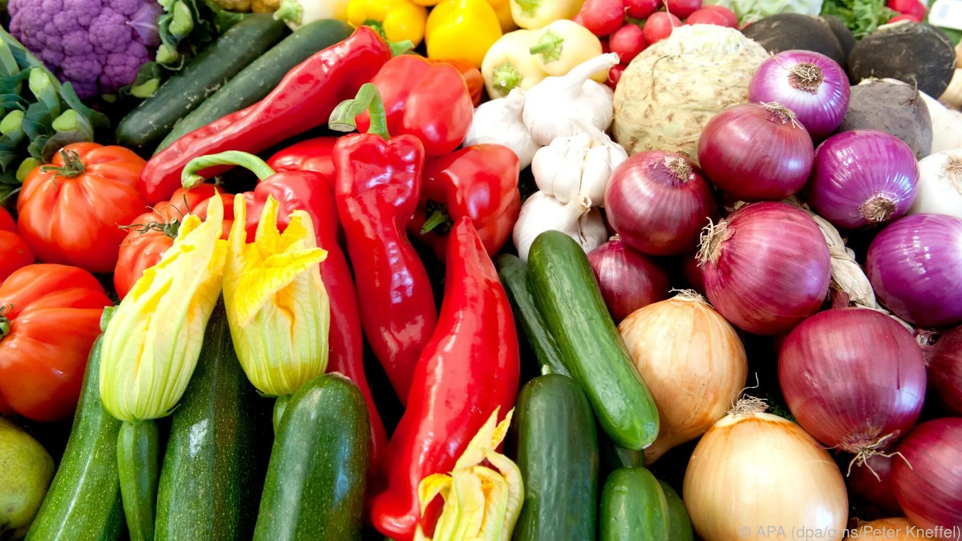 Овощи и фрукты. Генномодифицированные овощи и фрукты. ГМО овощи. Большие овощи.