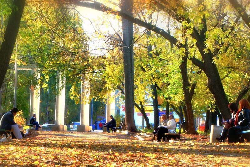 В парке 2 3
