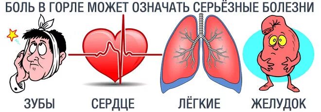 Глоток мочи. Зуб сердце. Болит горло от желудка.