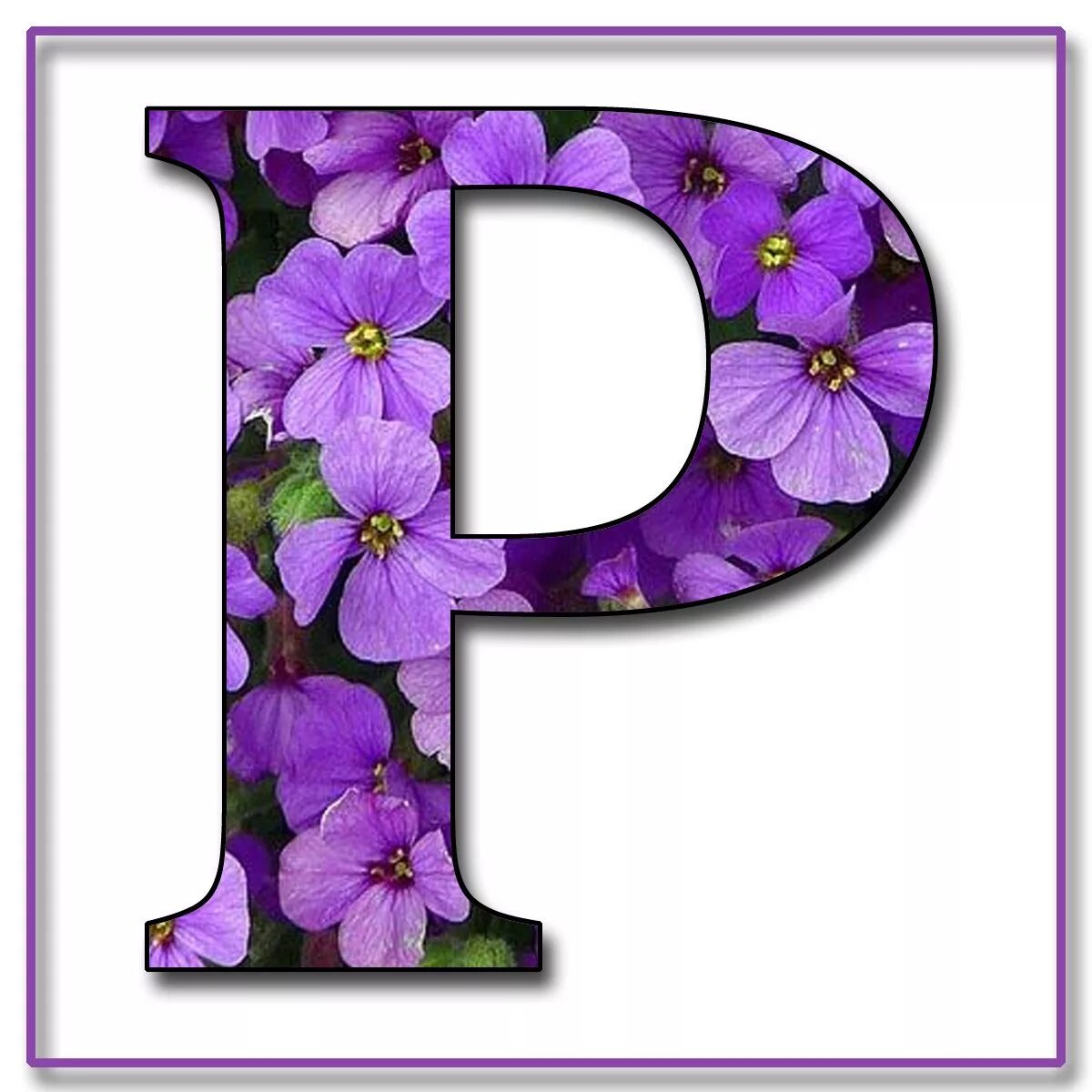 R flower
