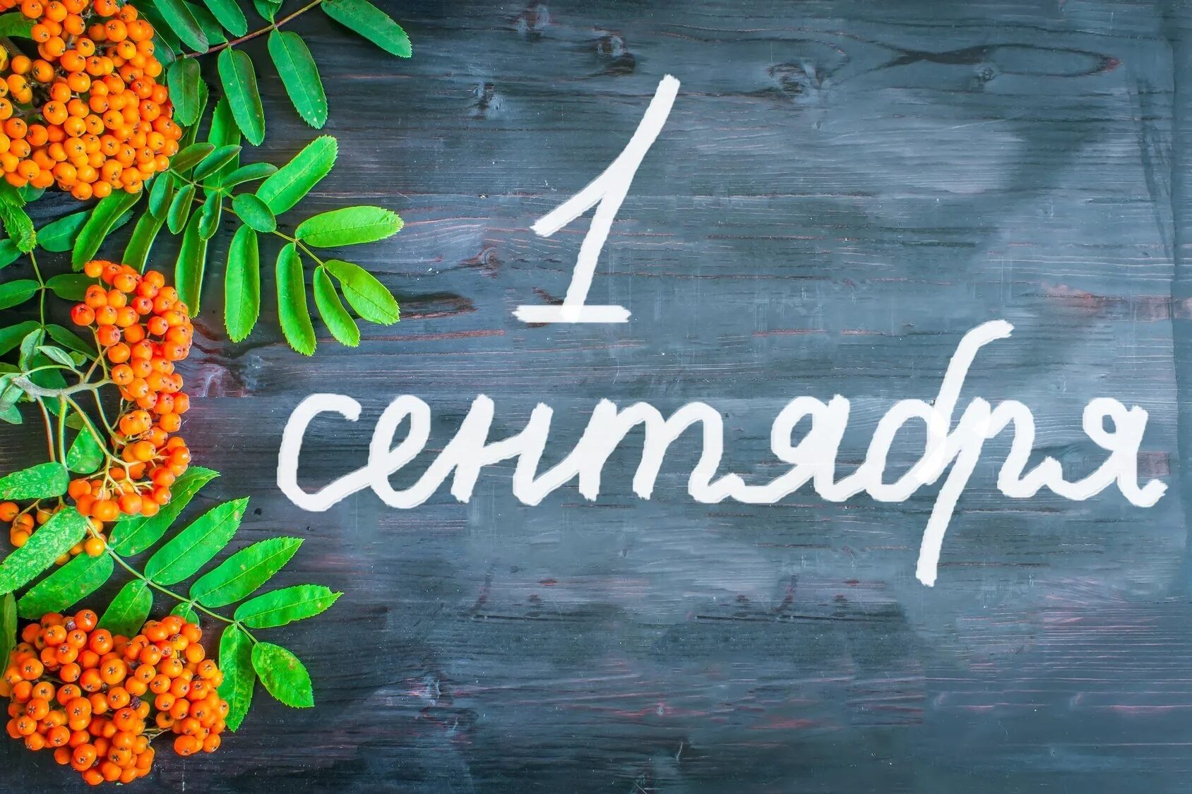 День класс. День знаний классный час. Школа картинки для детей. 1 сентября надпись на доске. С днем знаний пожелания.