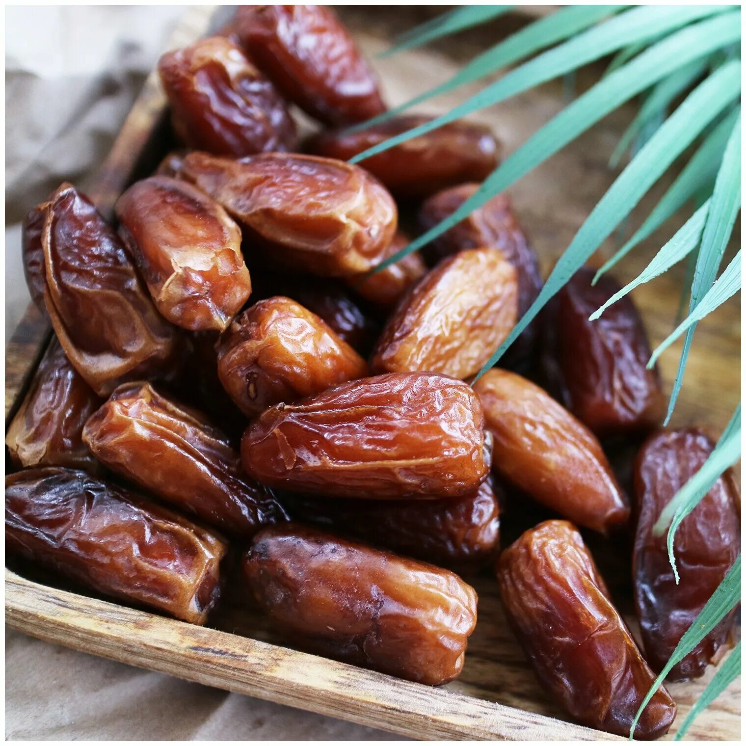 Какой сорт фиников. Какой сорт фиников. Какой сорт фиников. Финики сагай. Финики сорта мунафи,.