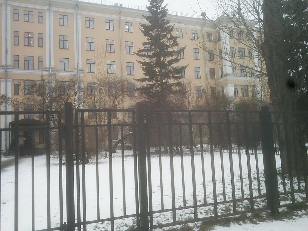 УЗИ надпочечников от 990 руб. в СПБ - адреса и цены УЗИ кабинетов