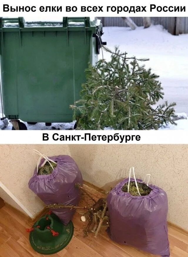 Вынеси елку. Мемы вынеси елку. Вынести елку приколы. 14 Февраля пора убирать елку.