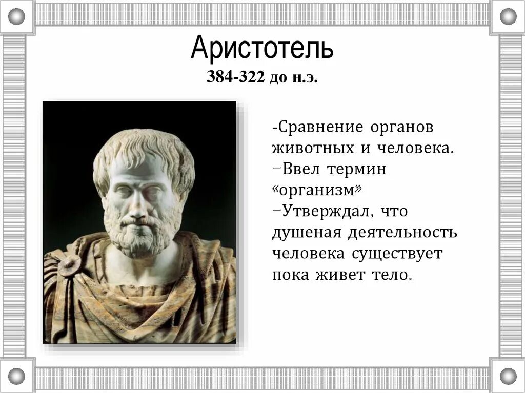Аристотель краткая биография. Великий греческий Аристотель. Доклад про Аристотеля. Аристотель годы жизни.