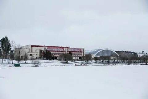 Стайки