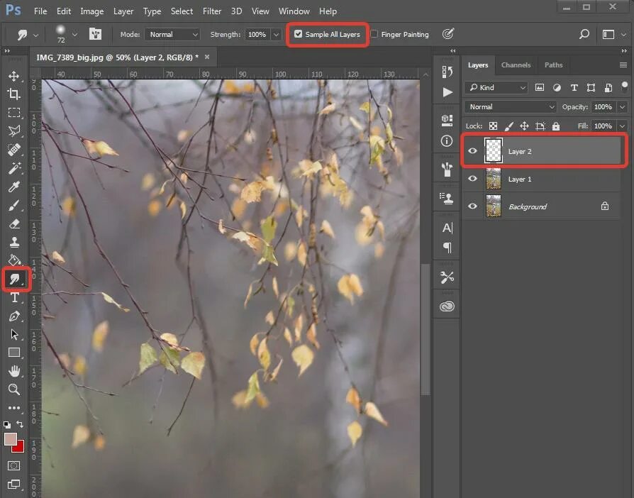 Топ редакторов фото. Редактирование изображений. Растровый графический редактор paint. Фоторедактор приложение. Редактор картинка.