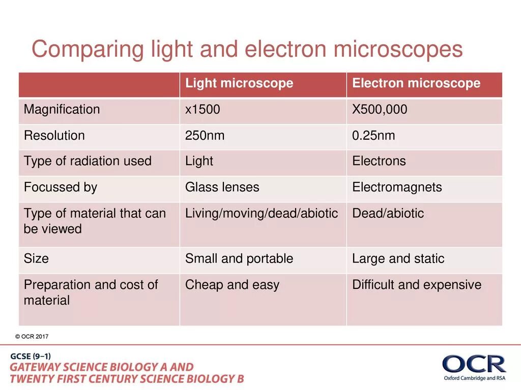 Light comparative