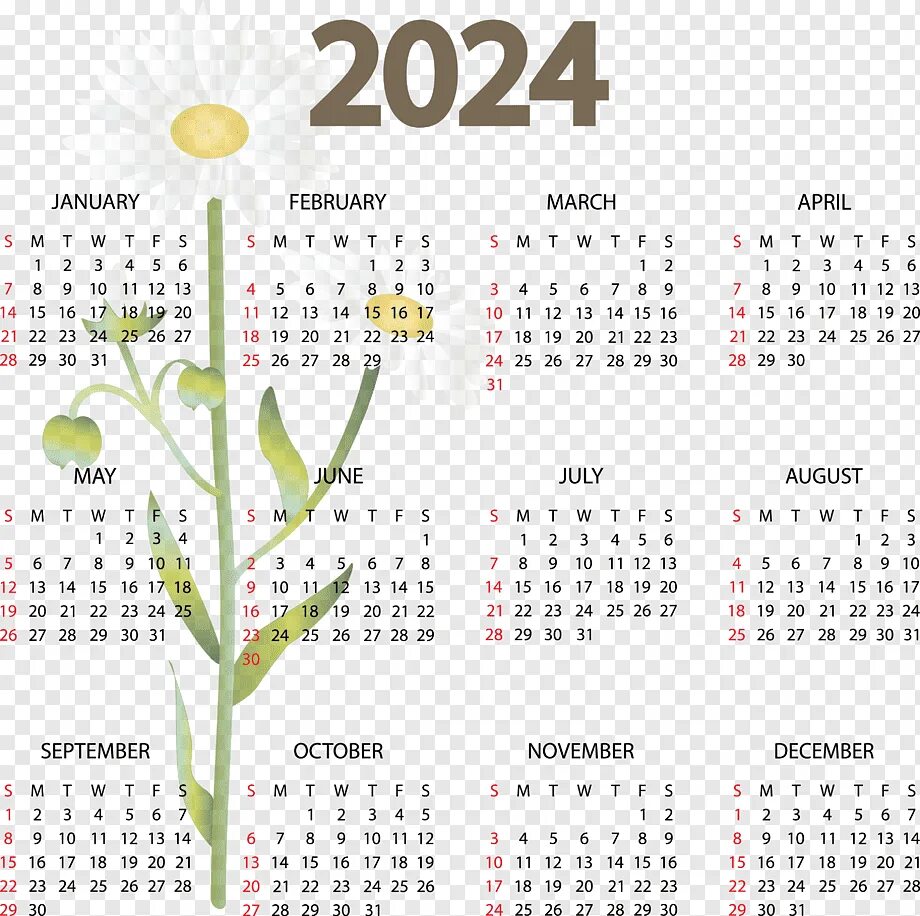 Календарь на май июнь 2024 года. Календарная сетка 2024. Календарная сетка на 2024 год. Календарь на следующий год. 2024 Год Calendar.