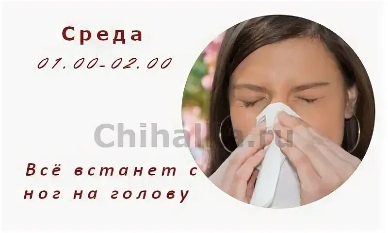 Чихалка среду по времени правдивая. Чихалка среду по времени правдивая