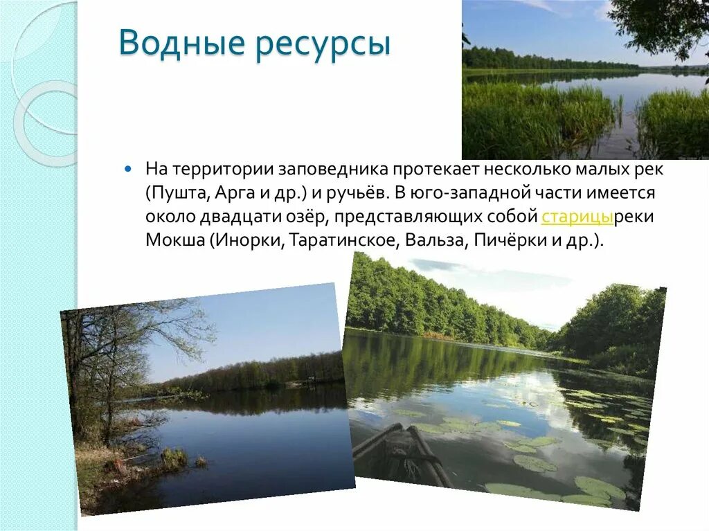 Водные богатства нижегородской области. Заповедник Смидовича Мордовия. Озеро Мордовский заповедник. Заповедник Смидовича Мордовия растения. Мордовский заповедник водные ресурсы.