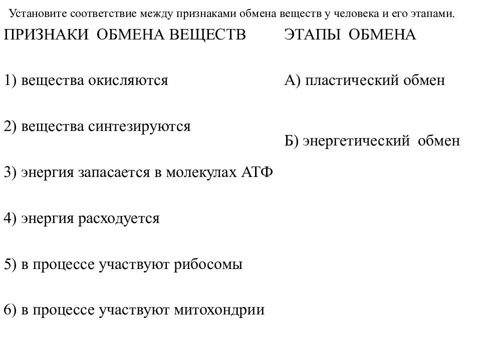 Признаки обмена веществ этапы. Признаки обмена веществ этапы обмена. Признаки и этапы пластического обмена. Признаки обмена веществ этапы обмена установите соответствие. Установите соответствие природа вещества