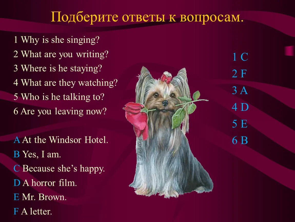 Найдите соответствие:. Подберите к ответам вопросы. Подберите к ответам вопросы. Письмо по английскому языку и отвечать на вопросы what are you afraid of?. Разгадай ребусы запиши ответы.