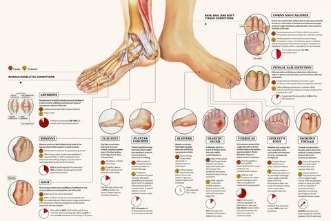 Как перевести foot