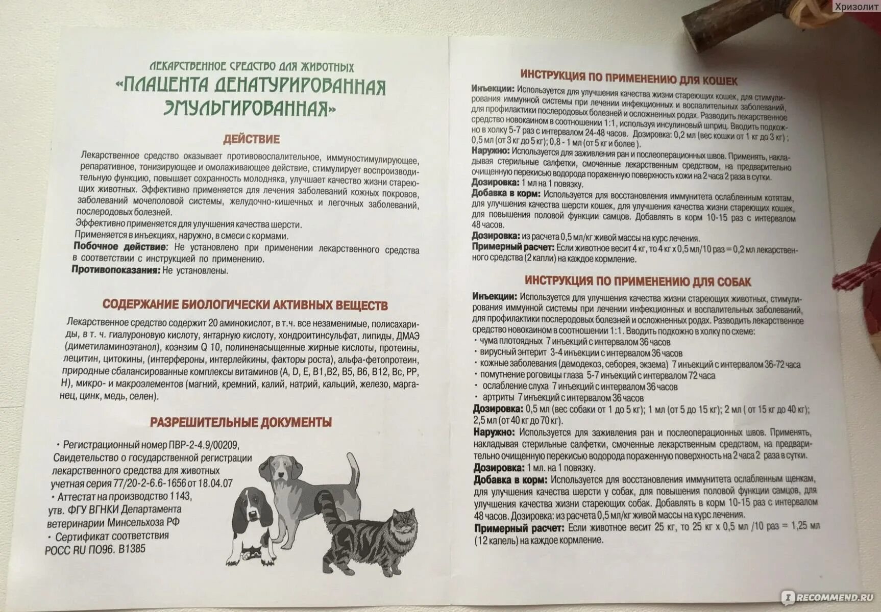 Форте инструкция по применению в ветеринарии. Гамавит для собак дозировка. Собака инструкция по применению. Дозировка ветеринарных препаратов для животных. Гамавит для щенков дозировка.