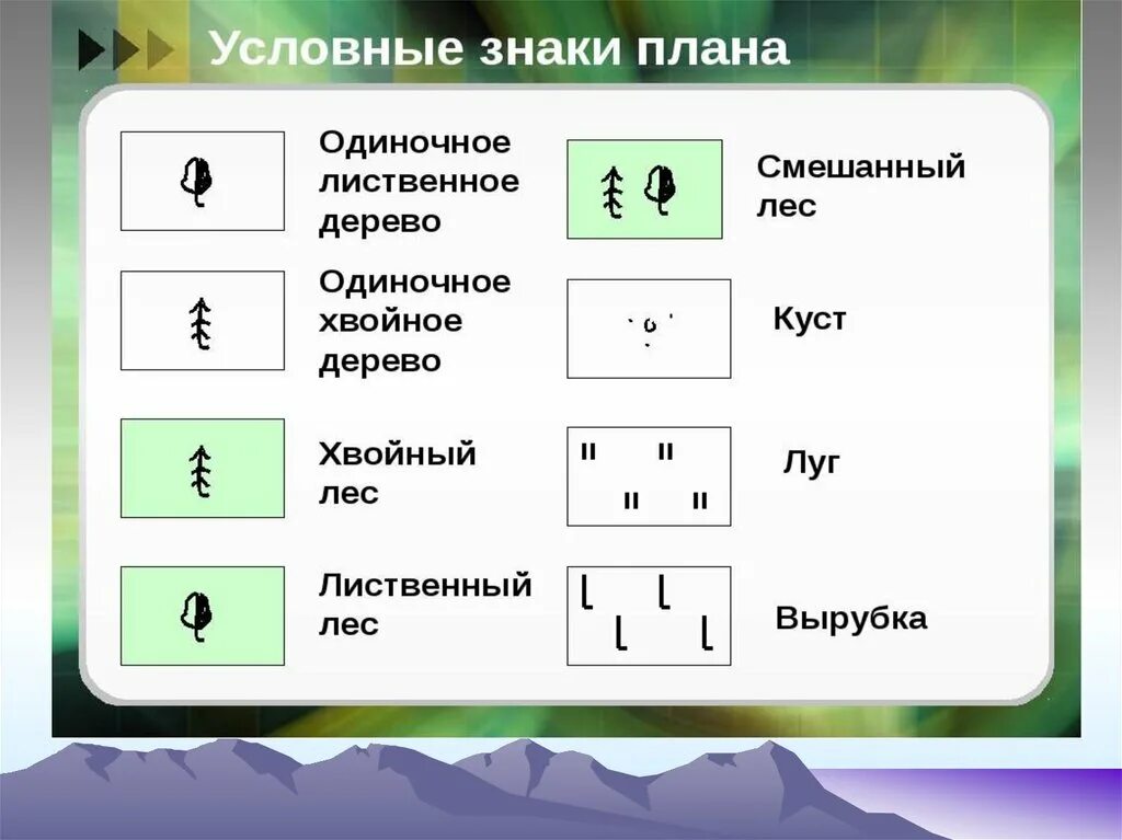 Условный. Условные знаки. Деревья на карте условные обозначения. Дерево на плане местности. Условный знак леса.