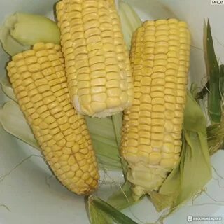 Почему кукуруза твердая