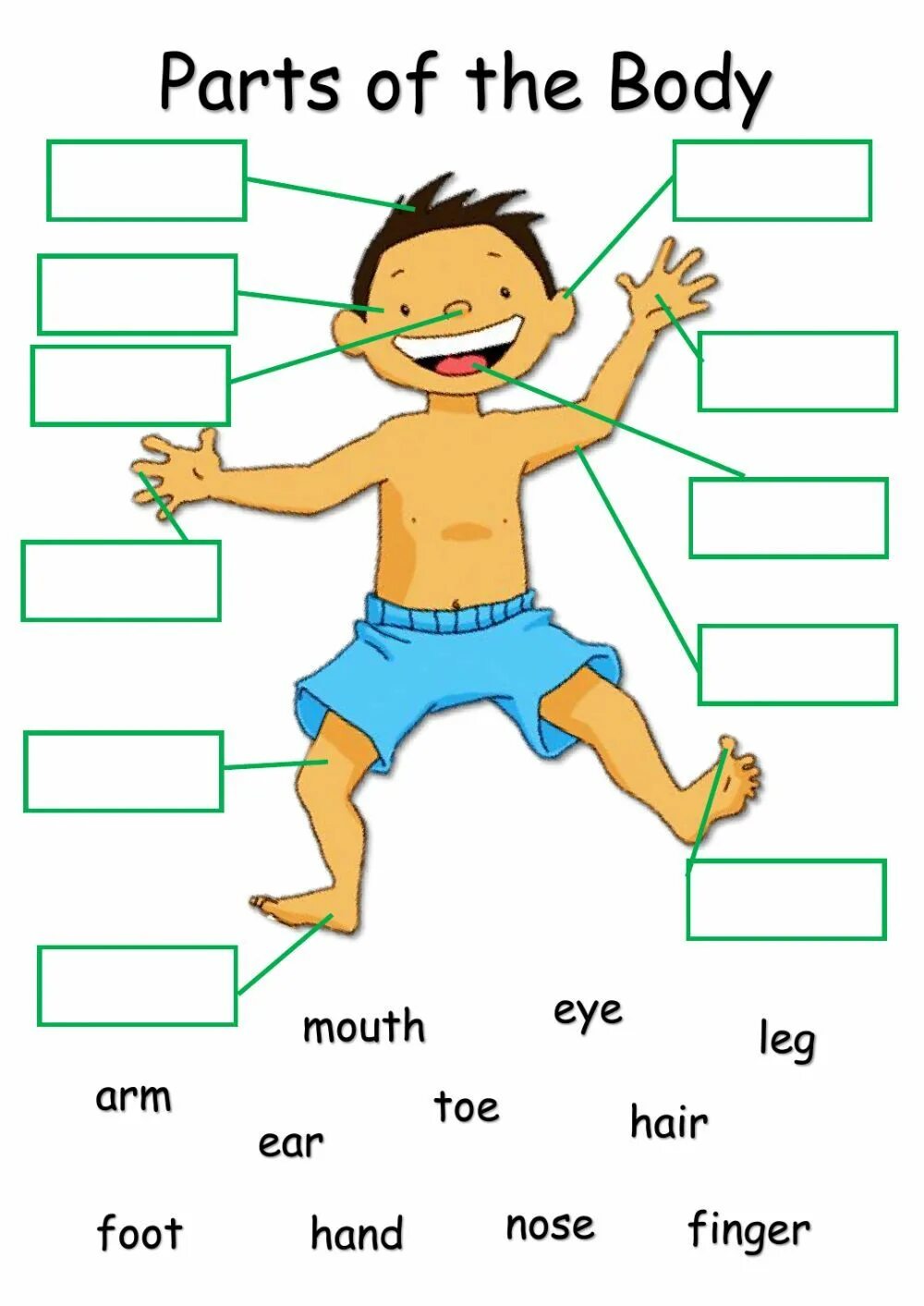 Look at the picture in exercise