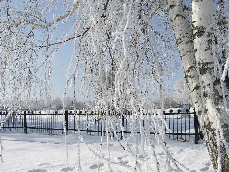 Петропавловский район Алтайский край. Паутово Петропавловский район Алтайский край. Зелёный дол Алтайский край Петропавловский район. Архив Петропавловского района.