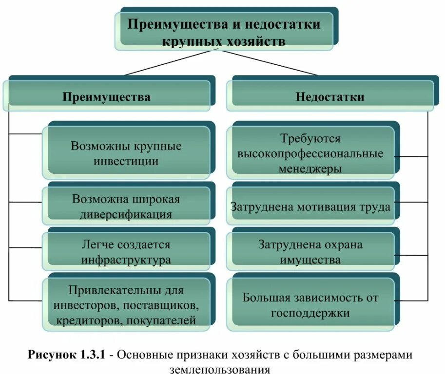 Имеют и недостатки большие. Преимущества и недостатки крупных фирм. Недостатки крупных предприятий. Преимущества крупных предприятий. Преимущества и недостатки крупных предприятий.