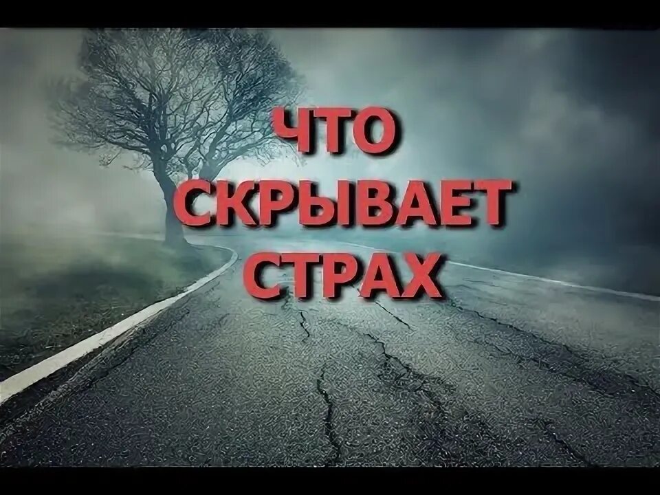 Где находится страх. Где находится страх