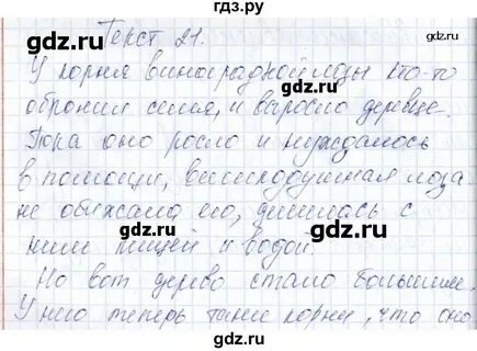 Текст 20 00
