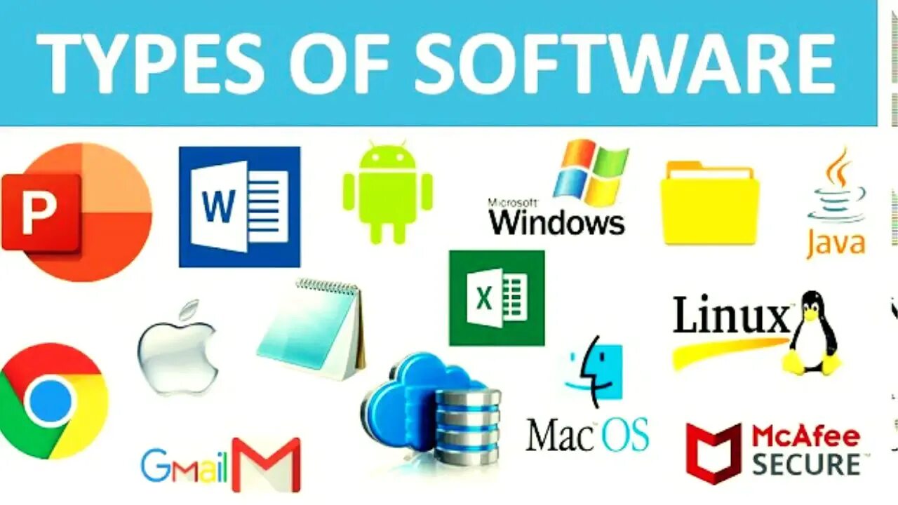 Types of software